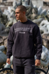 University Sweatshirt - Gris